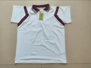 普生坊惠州市夏季校服纯棉短袖小学校服仲恺区