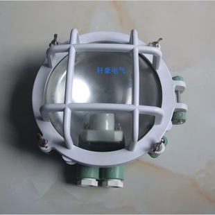 船用灯具 货舱灯 792066作业灯W船用作业灯 60W 220V