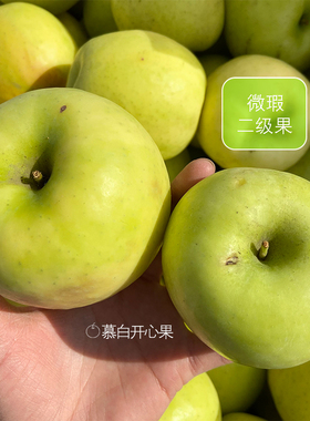 陕西白水正宗瑞雪苹果西北农林青苹果脆甜多汁有香气 新鲜不打蜡