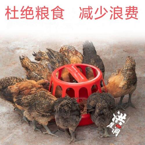 鸡食槽喂鸡打不翻器神器