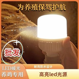 led暖光灯泡养殖防摔鸡舍蛋鸡护眼e27螺口防水防爆节能暖黄光超亮