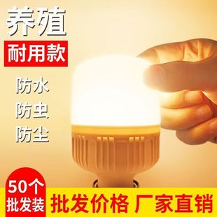 暖光养殖灯LED养殖专用照明灯泡养鸡场暖光鸡舍蛋鸡猪场养殖照明