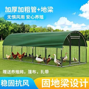 鸡鸭笼遮雨棚养鸡棚全套户外养殖大棚防雨鸽笼孔雀笼围鸡简易安装