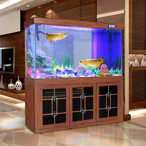 龙鱼缸鱼客厅生态大型过滤水族箱