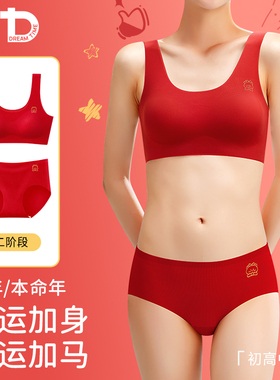 女大童本命年红色内衣裤套装12岁儿童发育期青少年少女文胸小背心