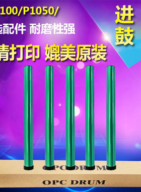 适用奔图PD-100 P1000 P2050 m5000 P1050L M5100 PD200H感光鼓芯
