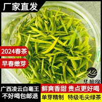 2024年明前春茶广西凌云白毫王茶特级芽头毛尖绿茶嫩栗清香168g袋