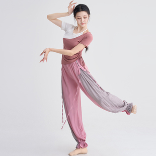 形体短袖 灯笼裤 古典中国民族舞夏季 现代舞蹈练功服上衣女2024新款