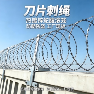 不锈钢刀片刺绳工厂围墙防爬铁丝网机场蛇腹型刺网滚笼拉力刮刀