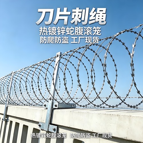 镀锌刀片刺绳蛇腹型防盗刺丝滚笼
