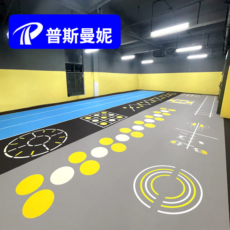普斯曼妮健身房专用定制地胶儿童体适能地胶室内360私教训练pvc