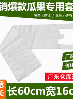 防虫袋 胶套袋 瓜果丝瓜节瓜苦瓜防果蝇防鸟袋纸质 葡萄水果套袋