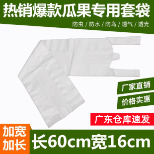 防虫袋 胶套袋 瓜果丝瓜节瓜苦瓜防果蝇防鸟袋纸质 葡萄水果套袋