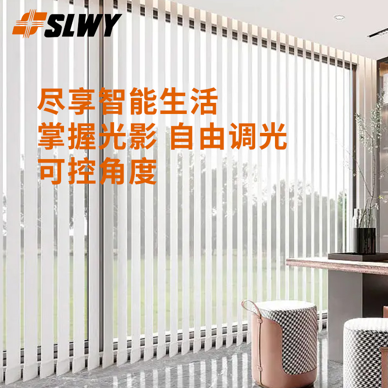 梦幻帘slwy涤纶蚕丝高端轻奢电动