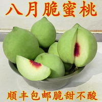 青皮脆蜜桃现摘新鲜水果硬质桃子中华蜜桃老品种当季脆甜毛桃脆桃