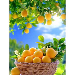 高清黄橙装饰海报客厅卧室餐厅墙面水果风贴画硕果累累自粘贴防水