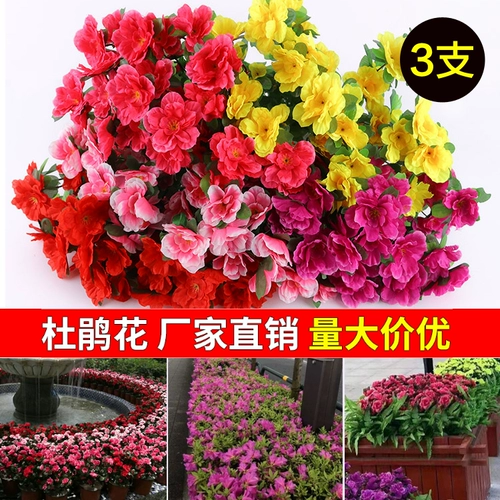 Симуляция Rhododendron Yingshan красный шелковый цветочный цветочный цветочный цвет