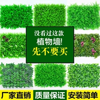 Зеленое растение Стенка Стены Растение Гяна Украшение