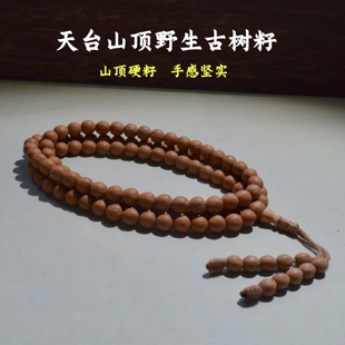 高硬五线菩提108颗佛珠手串天台山顶野生古树籽原皮文玩男女念珠