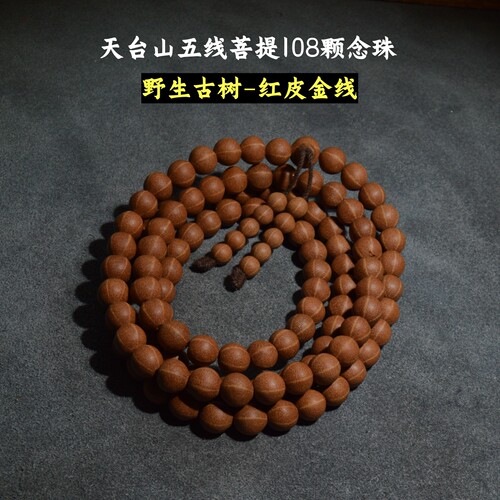 野生五线菩提108原皮老陈籽