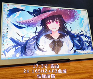 17.3寸2K165hzNE173QHM-NY5一线通便携显示器ps4/PS5/switch/Xbox