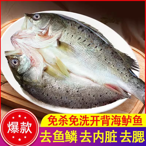 开背海鲈鱼免杀免洗鲈鱼新鲜冷冻