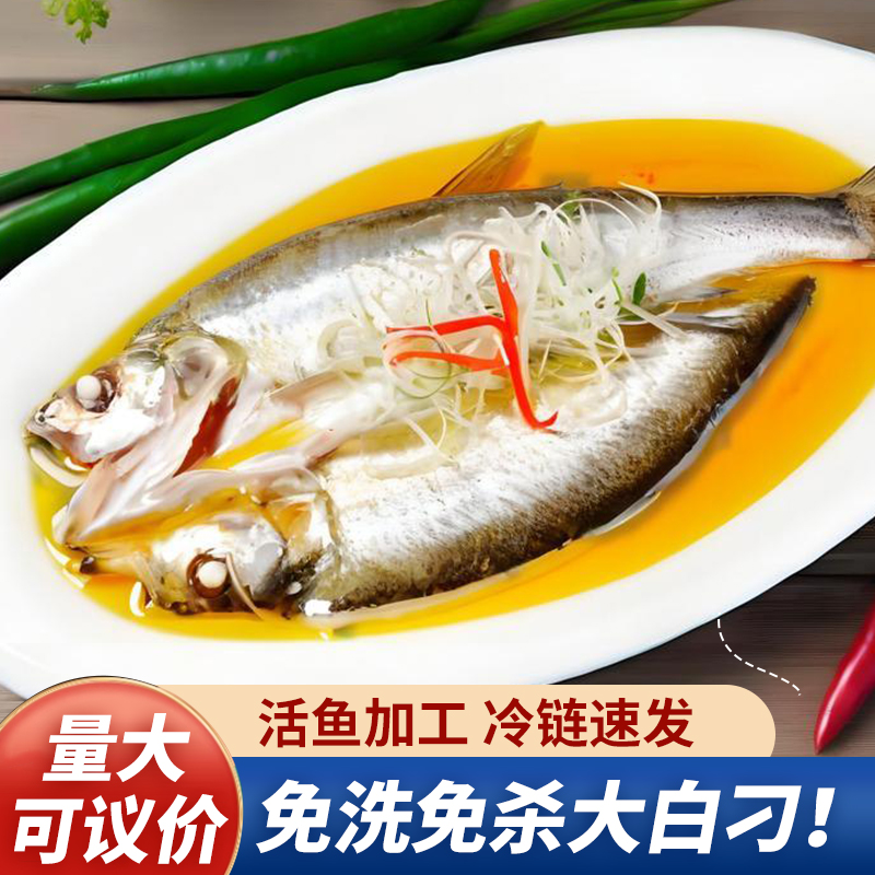 源头厂家大白刁免宰杀冷链速发清蒸香煎水产活鱼整条半条量大批发