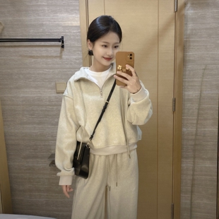 纯色立领卫衣卫裤两件套女春秋季今年流行韩系慵懒风休闲运动套装
