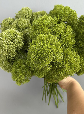 仿真葱球花 绿色雾凇果米仔小豆果 家居客厅插花摄影道具假花