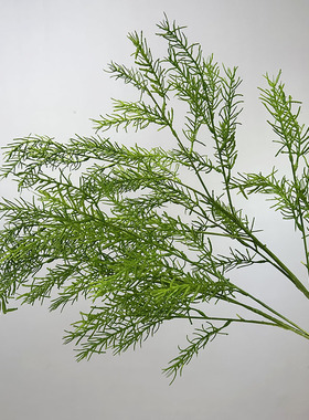 单枝松针仿真植物绿植盆景秋色文竹软装花材家居装饰长支天门冬