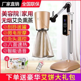 艾灸家用仪器理疗熏蒸仪随身灸养生艾灸灯刮痧拔罐按摩美容院专用