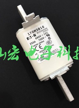 原装 快速熔断器170M3211 快速熔断器170M3261拍先咨询库存价格