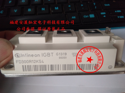 全新原装 功率模块FD300R12KS4 拍先联系库存灿宏电子科技