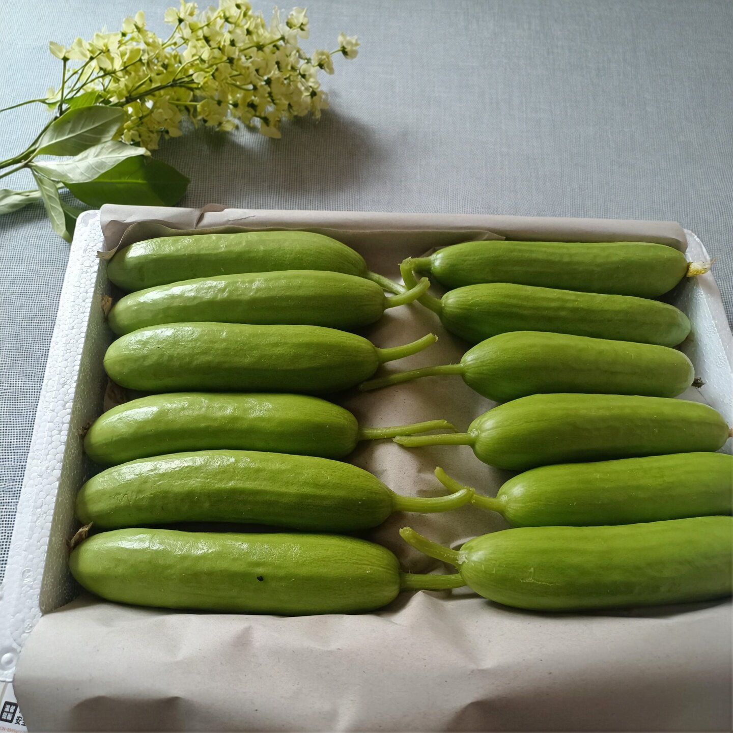 奶油小黄瓜水果黄瓜白玉黄瓜减脂小青瓜生吃即食脆甜可口自然成熟
