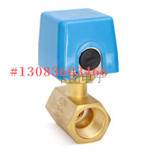 卡图黄铜直通挡板式流量开关