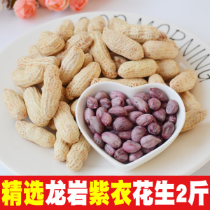 龙岩紫衣花生1000g 福建特产带壳坚果零食水煮白晒湿烤炒货下酒菜