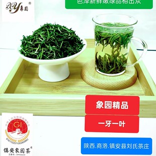 陕西商洛2025头春头采嫩芽绿茶高山象园手工精品【一芽一叶】100g