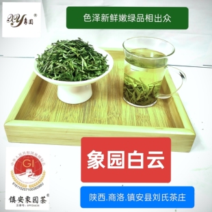陕西商洛2025头春头采高山嫩芽镇安象园茶系列象园白云茶100g