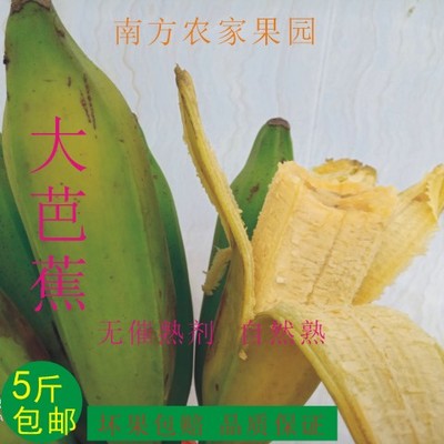 广西芭蕉banana新鲜现采现发