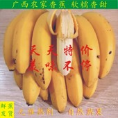 包邮 天天特价 新鲜水果 农家香蕉现砍现发 新鲜香蕉 新鲜banana