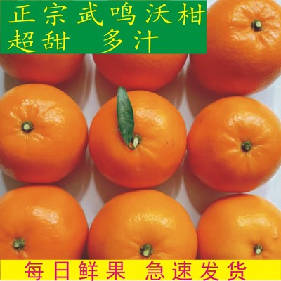武鸣沃柑当季新鲜水果包邮
