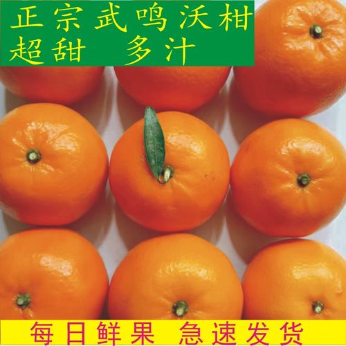 武鸣沃柑当季新鲜水果包邮