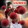 Boxing tốc độ bóng đấm bốc thiết bị huấn luyện phản ứng bóng chiến đấu đào tạo tập thể dục giải nén khả năng phối hợp bóng - Taekwondo / Võ thuật / Chiến đấu dụng cụ tập võ taekwondo