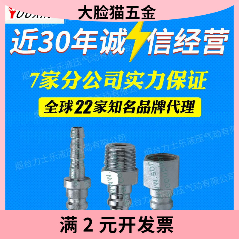 浙江松乔QKD153单开闭气动快速接头（小体）快换接头量大从优