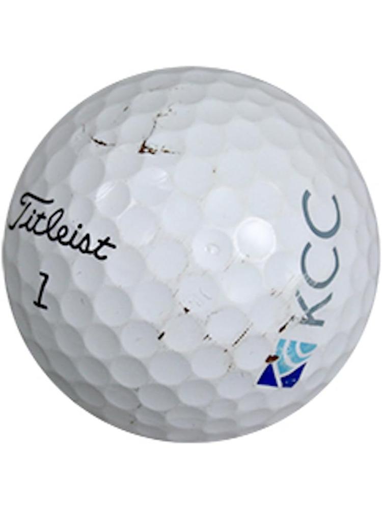 Titleist高尔夫球ProV1V1x泰特利斯远距离练习球比赛新球练习球