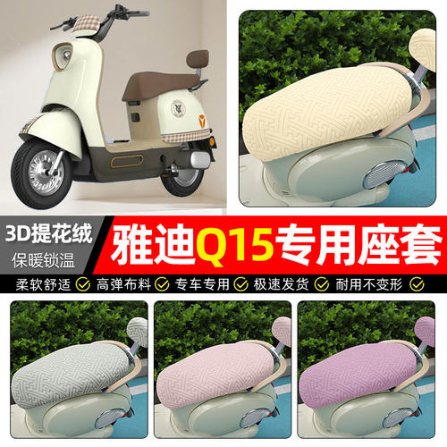 适用雅迪冠能Q10s-一D电