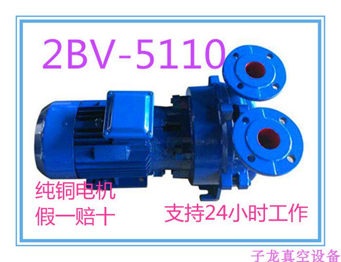 Vacuum pump SKA/2BV-5110/11 Water ring/Vacuum pump Vacuum deaeration pump/Vacuum pump partsin the Hardware/Tool , Electrical Hardware , Pump , Pump  category - from Buy2taobao.com to provide professional Taobao agent buy service