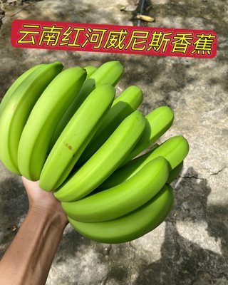 云南威尼斯自然熟香蕉现摘无药水