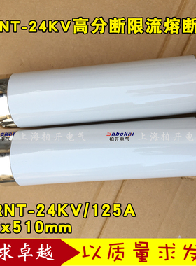 SDLAJ/ XRNT-20KV 100A 125A高分断能力高压限流熔断器20-24KV