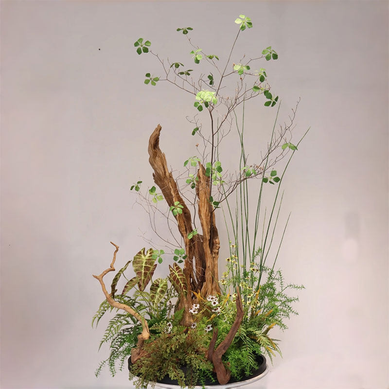 森林系枯枝造景花艺装置定制新中式侘寂风摆件售楼处样板间装饰景,家居饰品,餐桌花艺,淘宝优惠券,粉丝福利购,淘宝优惠卷